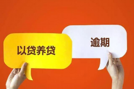 常山债务清欠服务